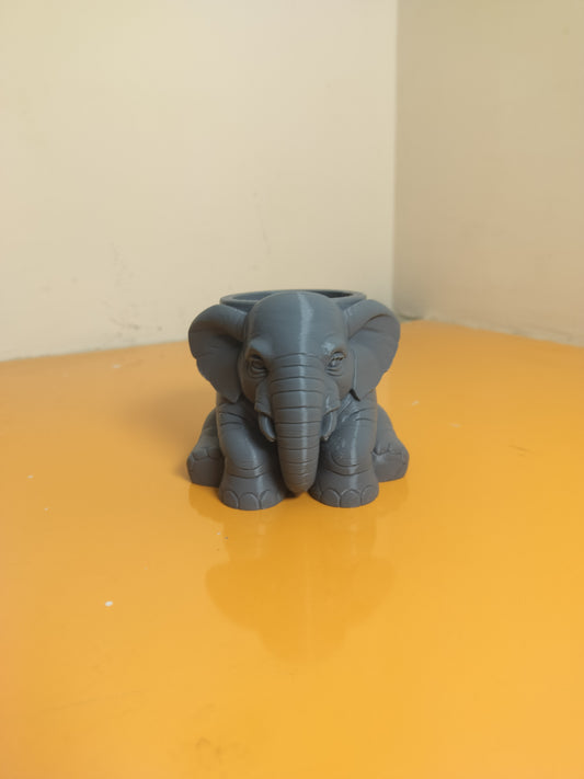 Elephant Succulent pot